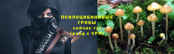 ALPHA PVP Богородицк